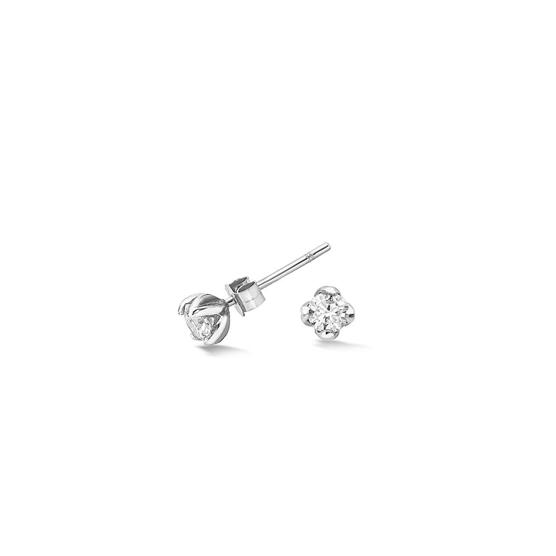 DLE40-14W-DIA-50PT-Dower-and-Hall-14k-White-Gold-and-Diamond-Stargazer-Studs