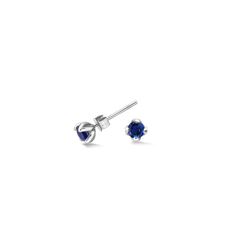 14k Gold & Sapphire Stargazer Studs