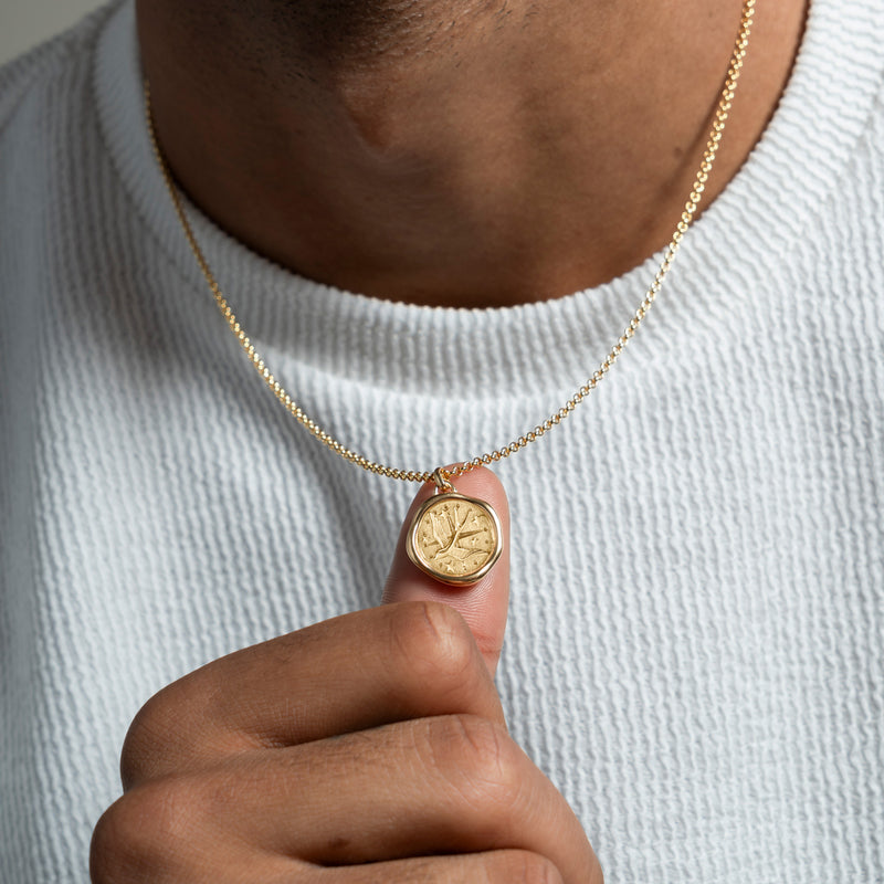Men's Flying Swallow Talisman Necklace