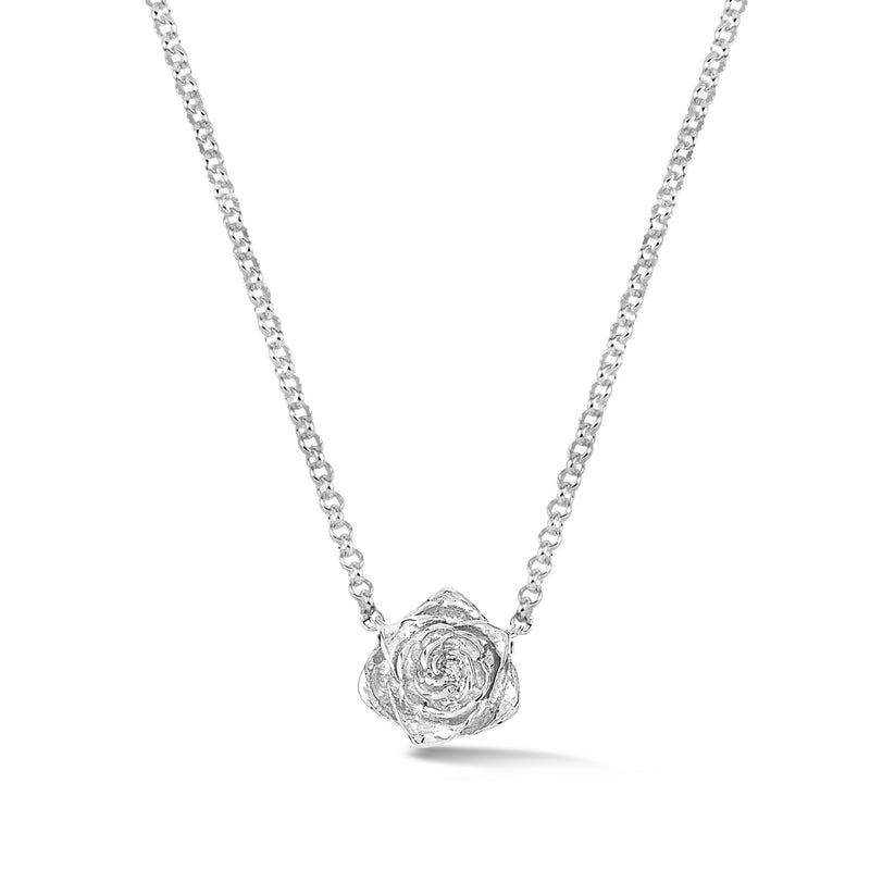 WRP9-S-Dower-and-Hall-Sterling-Silver-Wild-Rose-Single-Bloom-Pendant